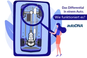 Das Differential in einem Auto. Wie funktioniert es